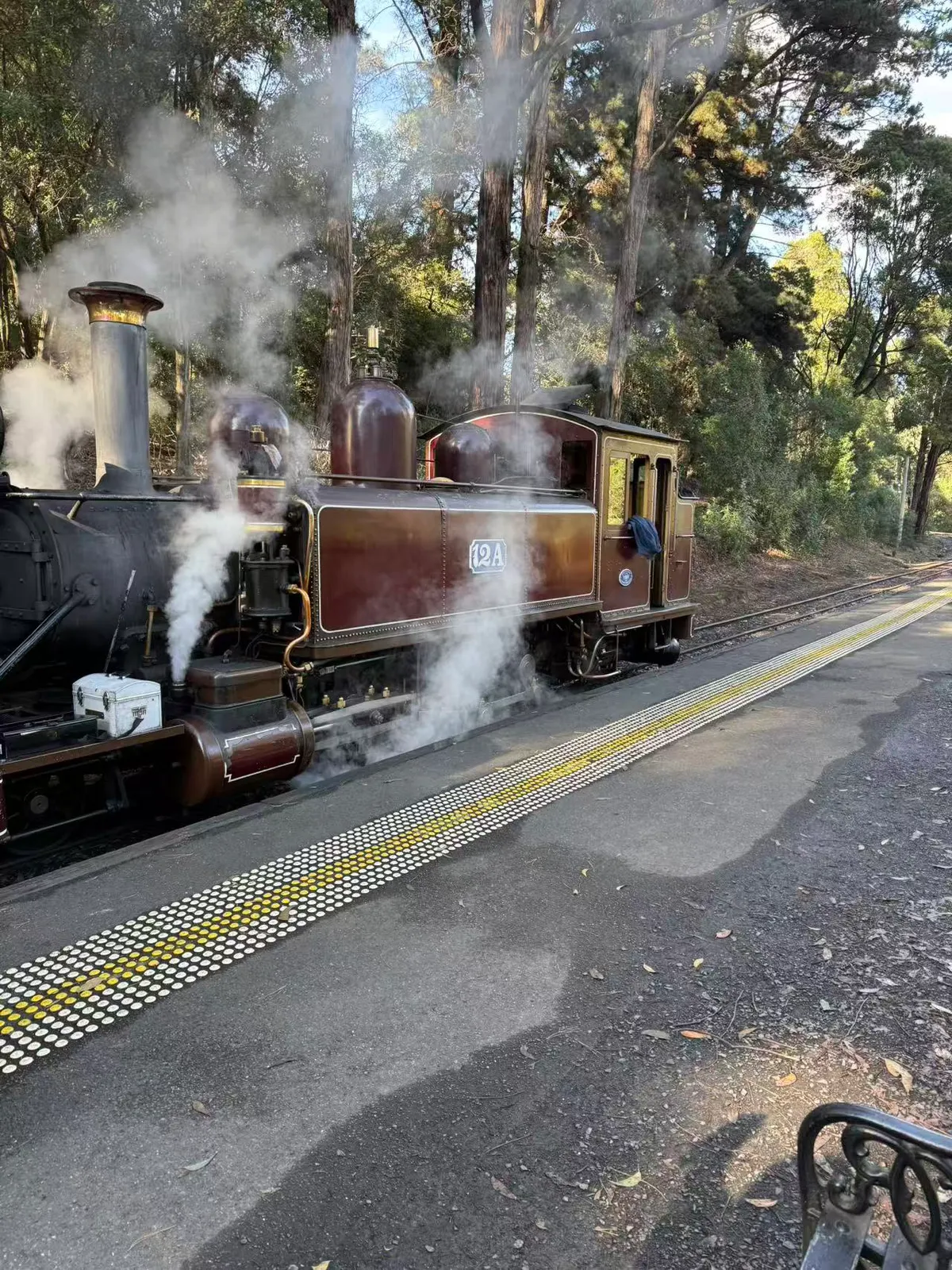 Steam Train Steam Train
