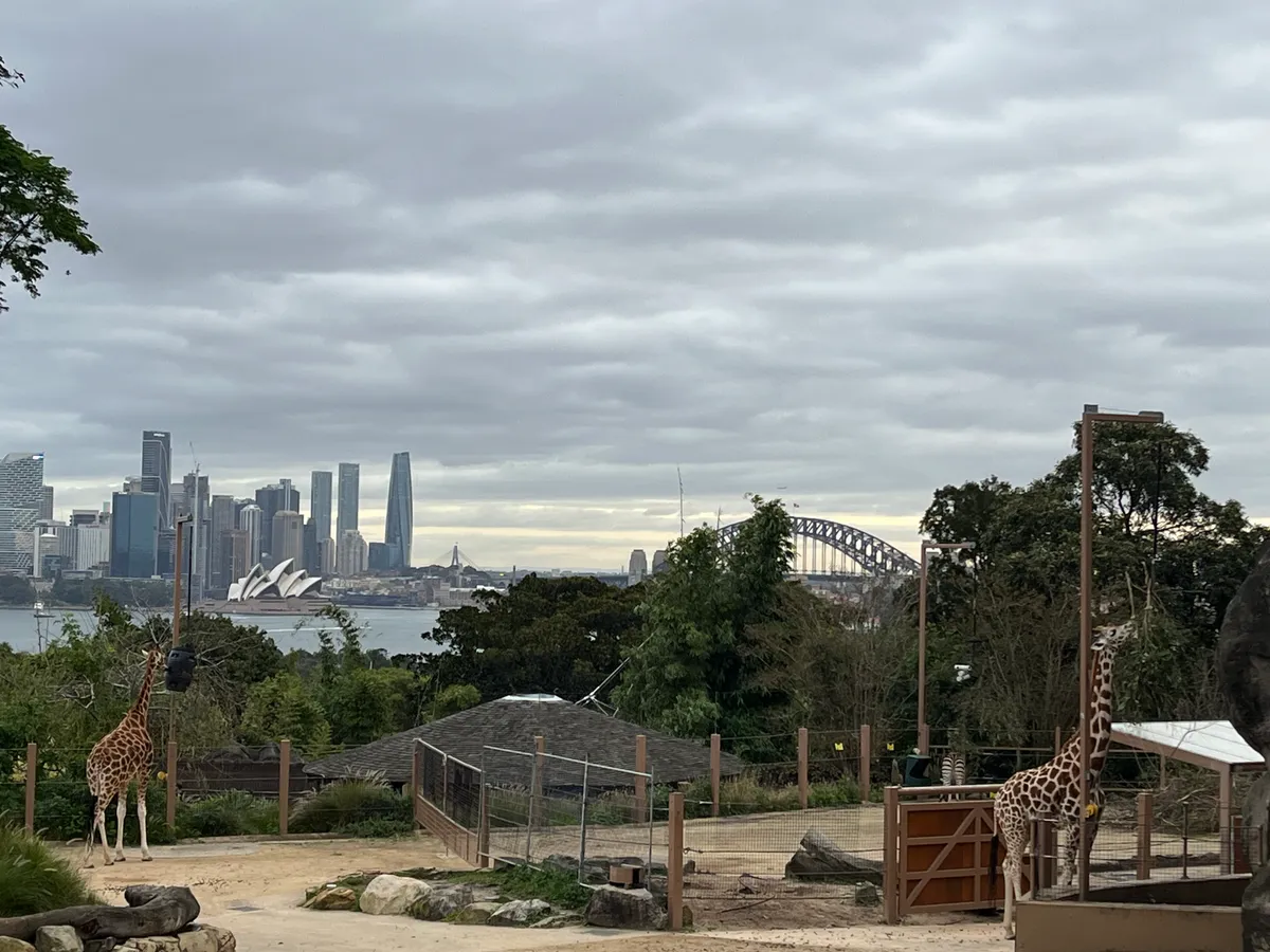 Giraffe and Opera House Giraffe and Opera House