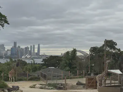 Giraffe and Opera House