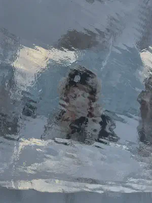 doufen