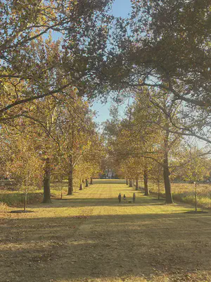 autumn_road
