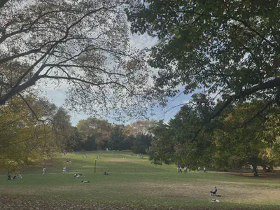central_park