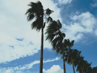 colada